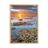 Affiche de La Réunion Sunset du récif 50 × 70 cm / Oak - Univile La Réunion
