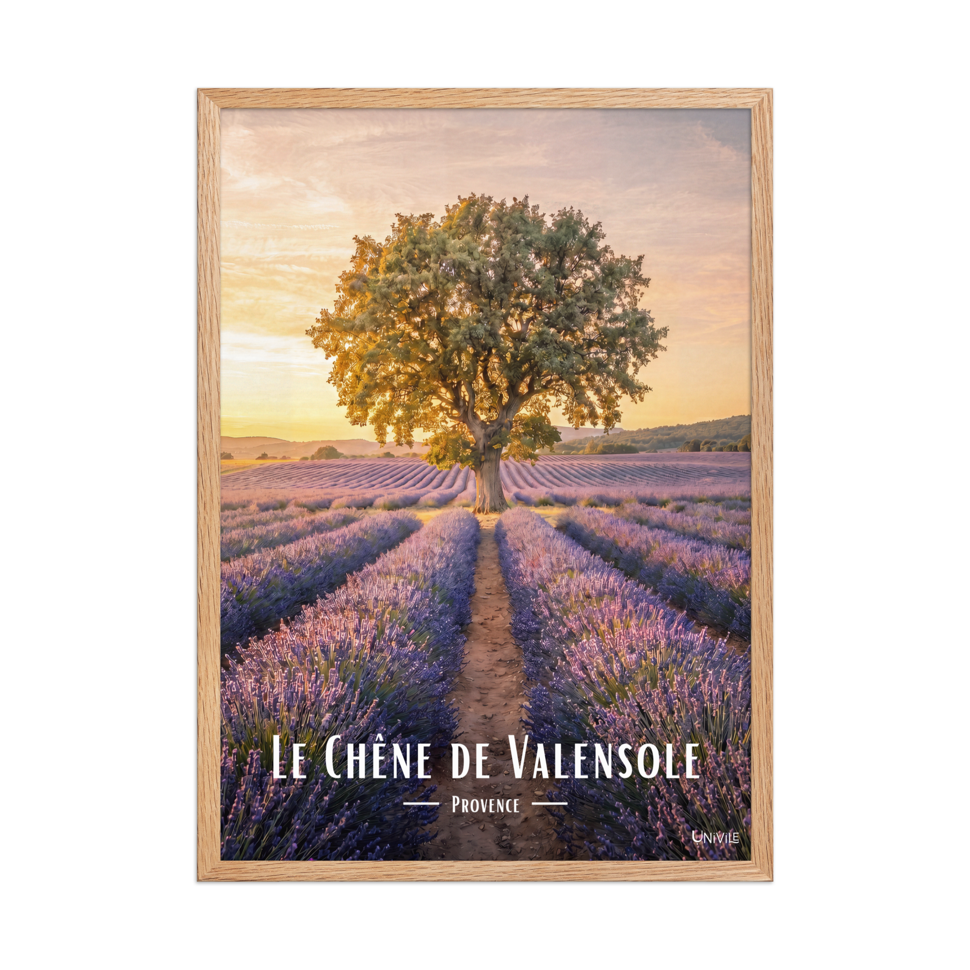 Affiche de Provence Le Chêne de Valensole 50 × 70 cm / Oak - Univile Provence
