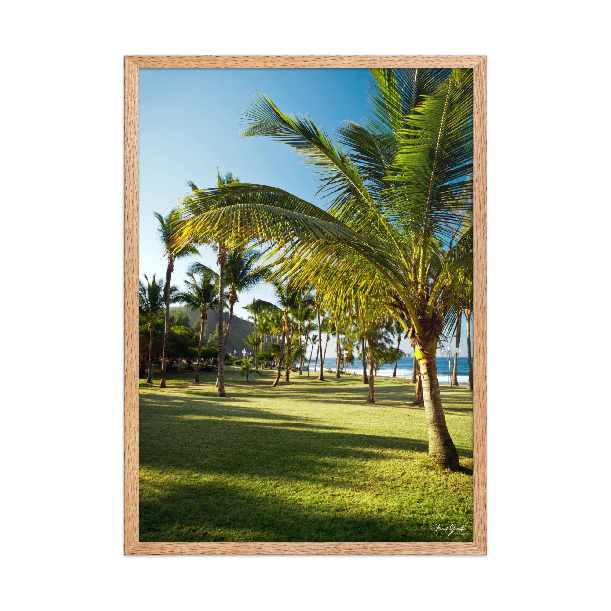 Affiche de La Réunion Palmier de Grande Anse 50 × 70 cm / Oak - photographie Franck Grondin