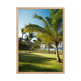 Affiche de La Réunion Palmier de Grande Anse 50 × 70 cm / Oak - photographie Franck Grondin