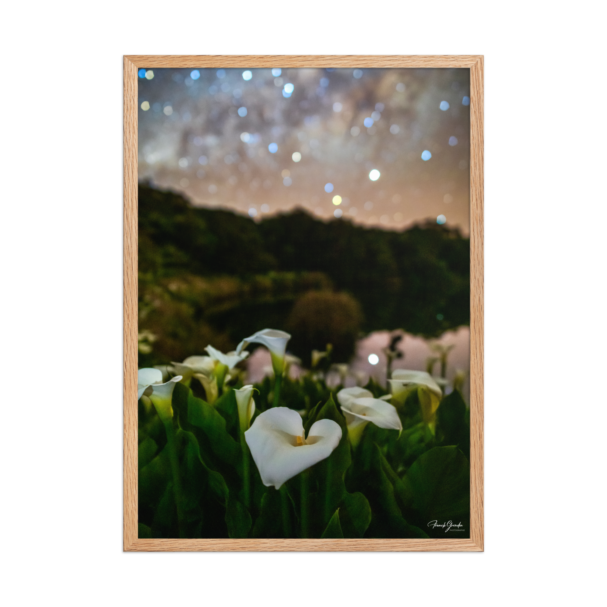 Affiche de La Réunion Arums du Piton de l'Eau 50 × 70 cm / Oak - photographie Franck Grondin