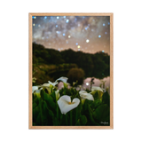 Affiche de La Réunion Arums du Piton de l'Eau 50 × 70 cm / Oak - photographie Franck Grondin