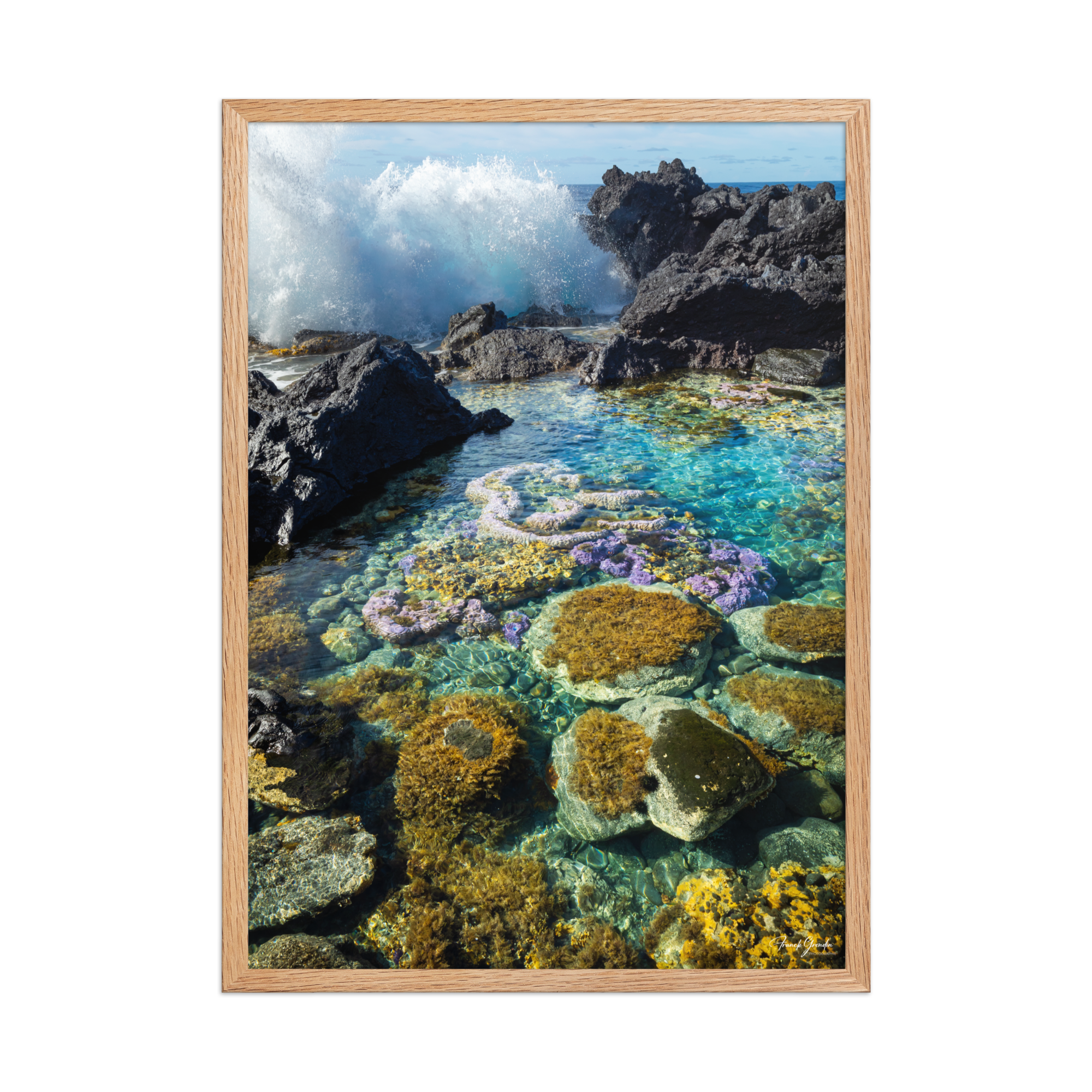 Affiche de La Réunion Coraux de Langevin 50 × 70 cm / Oak - photographie Franck Grondin