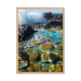 Affiche de La Réunion Coraux de Langevin 50 × 70 cm / Oak - photographie Franck Grondin