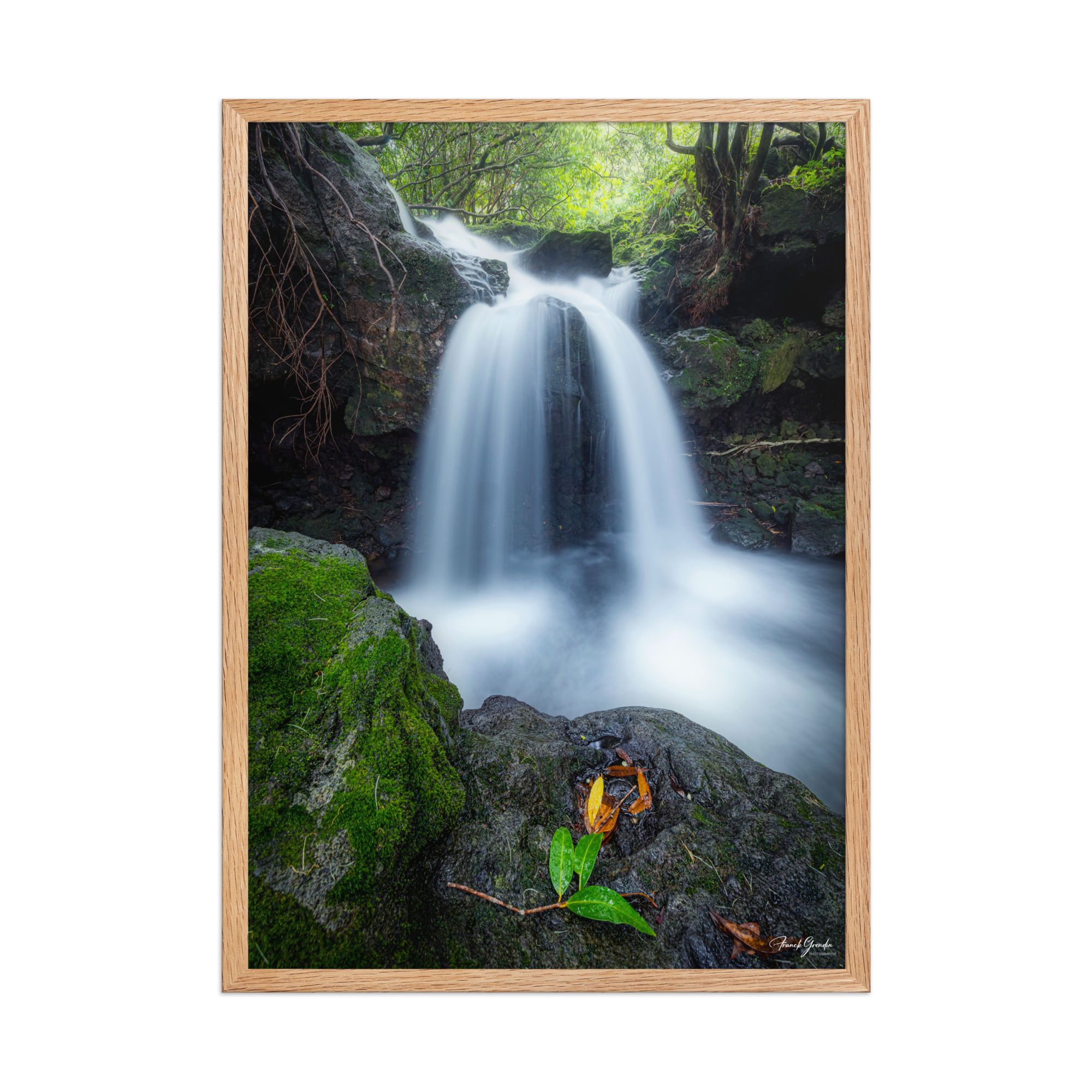 Affiche de La Réunion Cascade du Pont Rouge, Le Tremblet 50 × 70 cm / Oak - photographie Franck Grondin