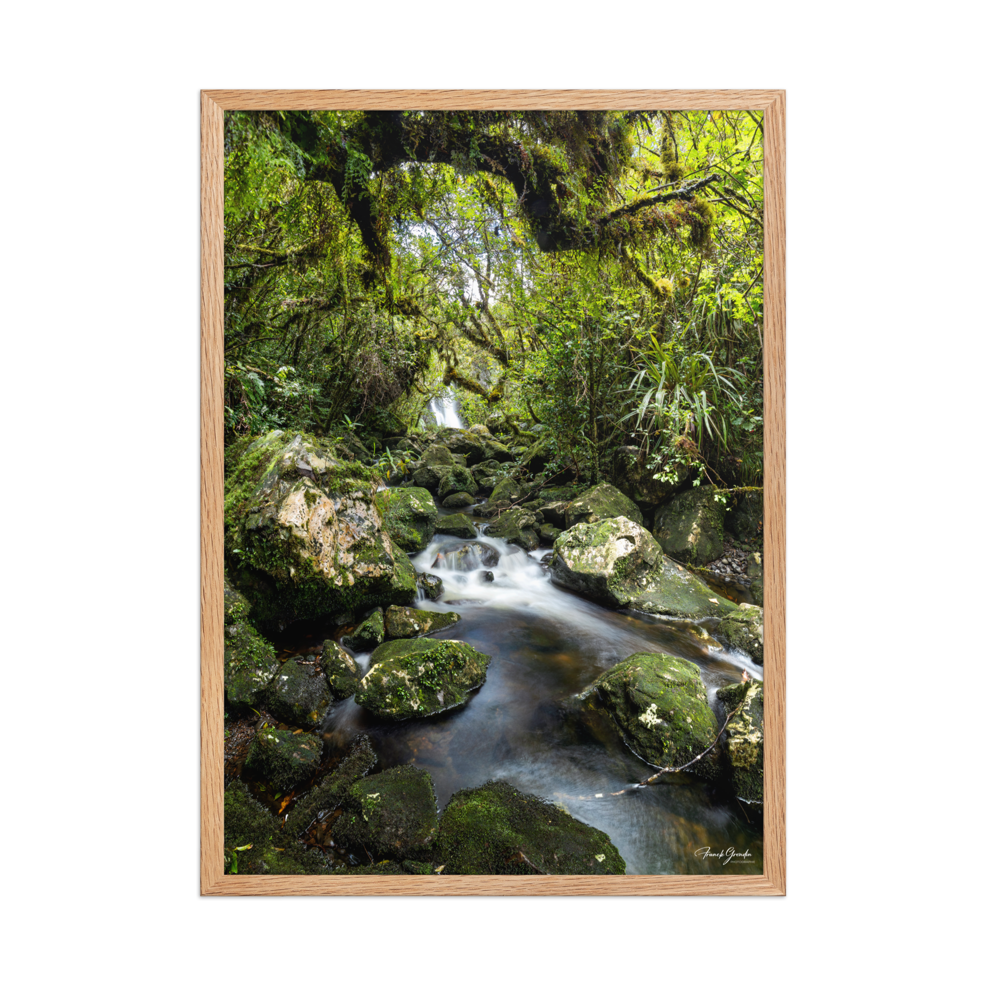 Affiche de La Réunion Forêt du Bras des Lianes 50 × 70 cm / Oak - photographie Franck Grondin