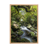 Affiche de La Réunion Forêt du Bras des Lianes 50 × 70 cm / Oak - photographie Franck Grondin