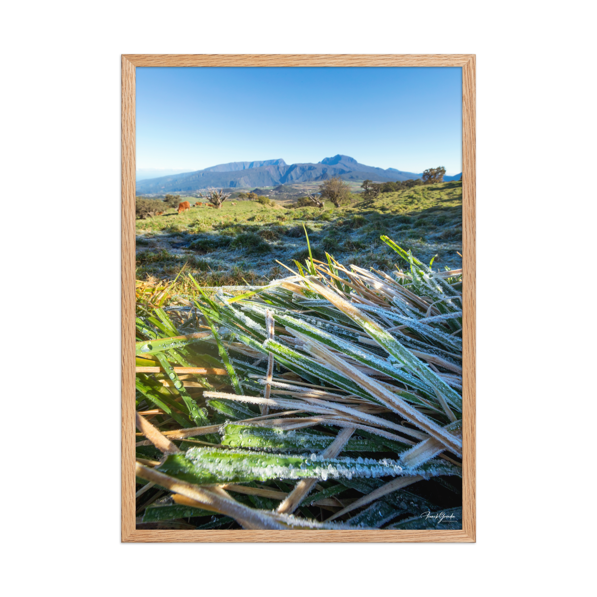 Affiche de La Réunion Givre sur les Hauts du Volcan 50 × 70 cm / Oak - photographie Franck Grondin