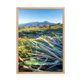 Affiche de La Réunion Givre sur les Hauts du Volcan 50 × 70 cm / Oak - photographie Franck Grondin