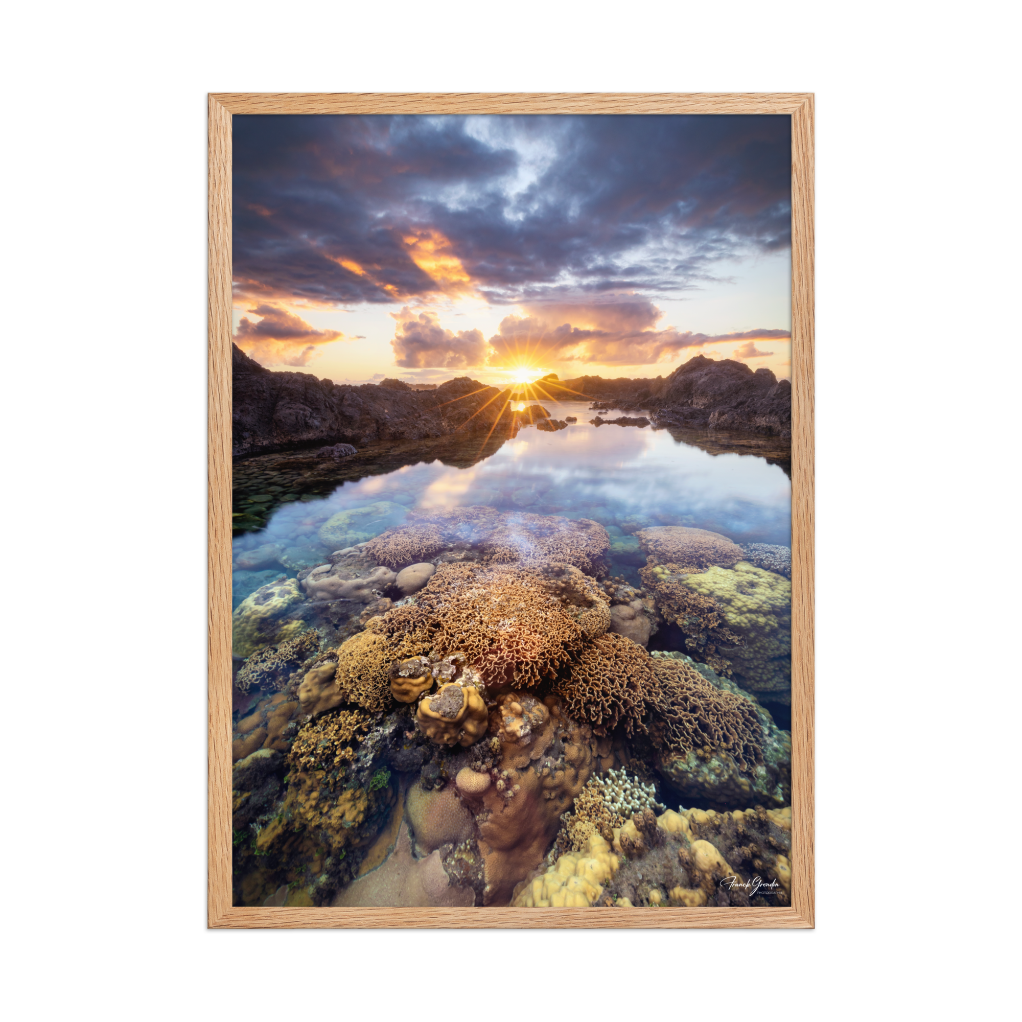Affiche de La Réunion Coraux de la Souris Blanche 50 × 70 cm / Oak - photographie Franck Grondin