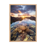 Affiche de La Réunion Coraux de la Souris Blanche 50 × 70 cm / Oak - photographie Franck Grondin