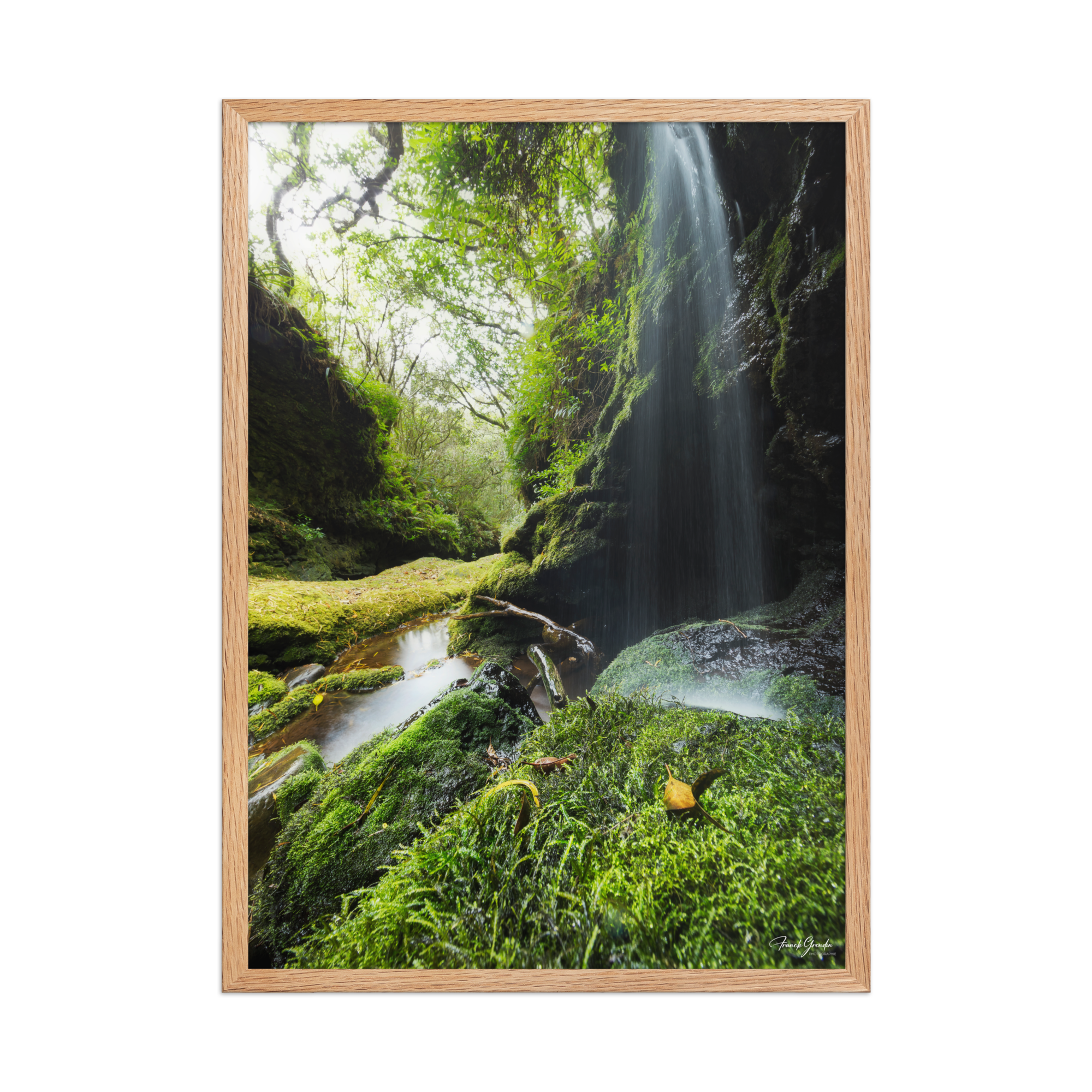 Affiche de La Réunion Cascade de la Ravine Citron Galet 50 × 70 cm / Oak - photographie Franck Grondin