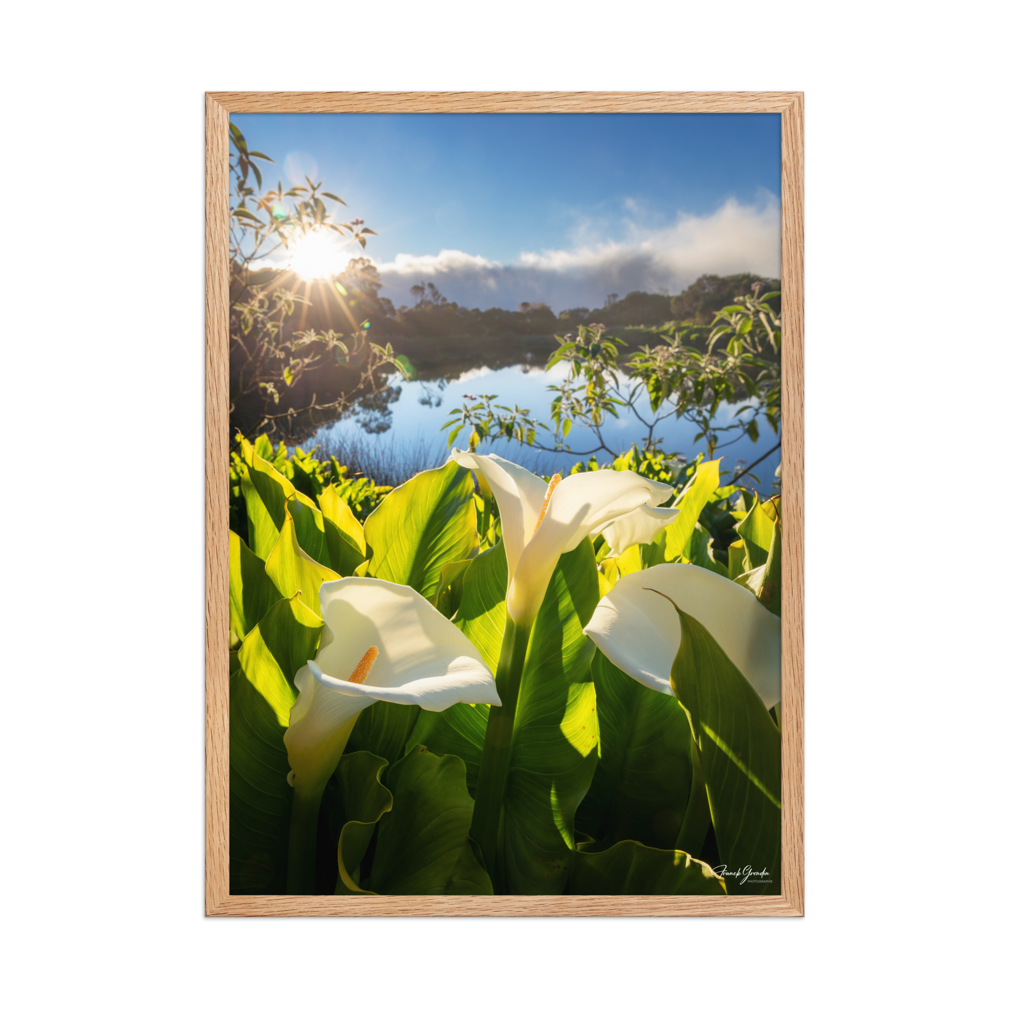 Affiche de La Réunion Arums du Piton de l'Eau au Crépuscule 50 × 70 cm / Oak - photographie Franck Grondin