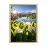 Affiche de La Réunion Arums du Piton de l'Eau au Crépuscule 50 × 70 cm / Oak - photographie Franck Grondin