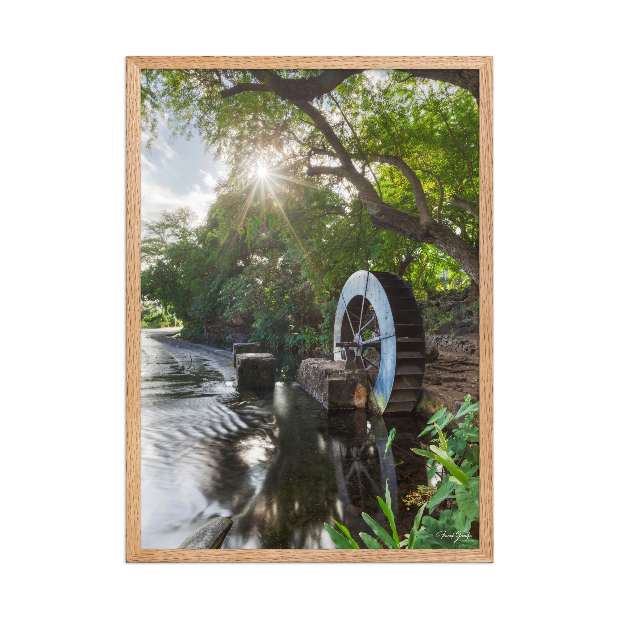 Affiche de La Réunion Le Moulin de la Tour des Roches 50 × 70 cm / Oak - photographie Franck Grondin