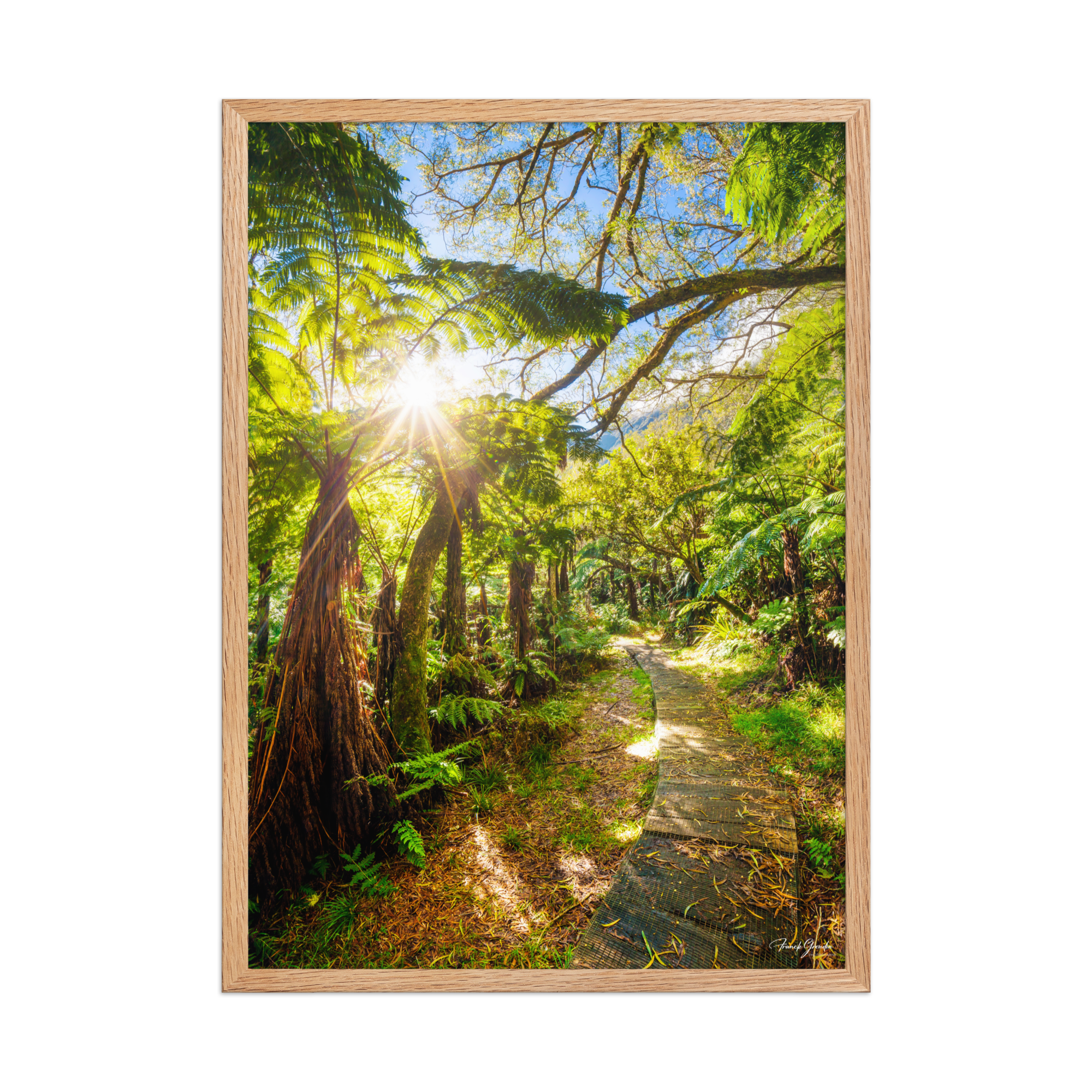 Affiche de La Réunion Le Chemin du Trou de Fer 50 × 70 cm / Oak - photographie Franck Grondin