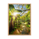 Affiche de La Réunion Le Chemin du Trou de Fer 50 × 70 cm / Oak - photographie Franck Grondin