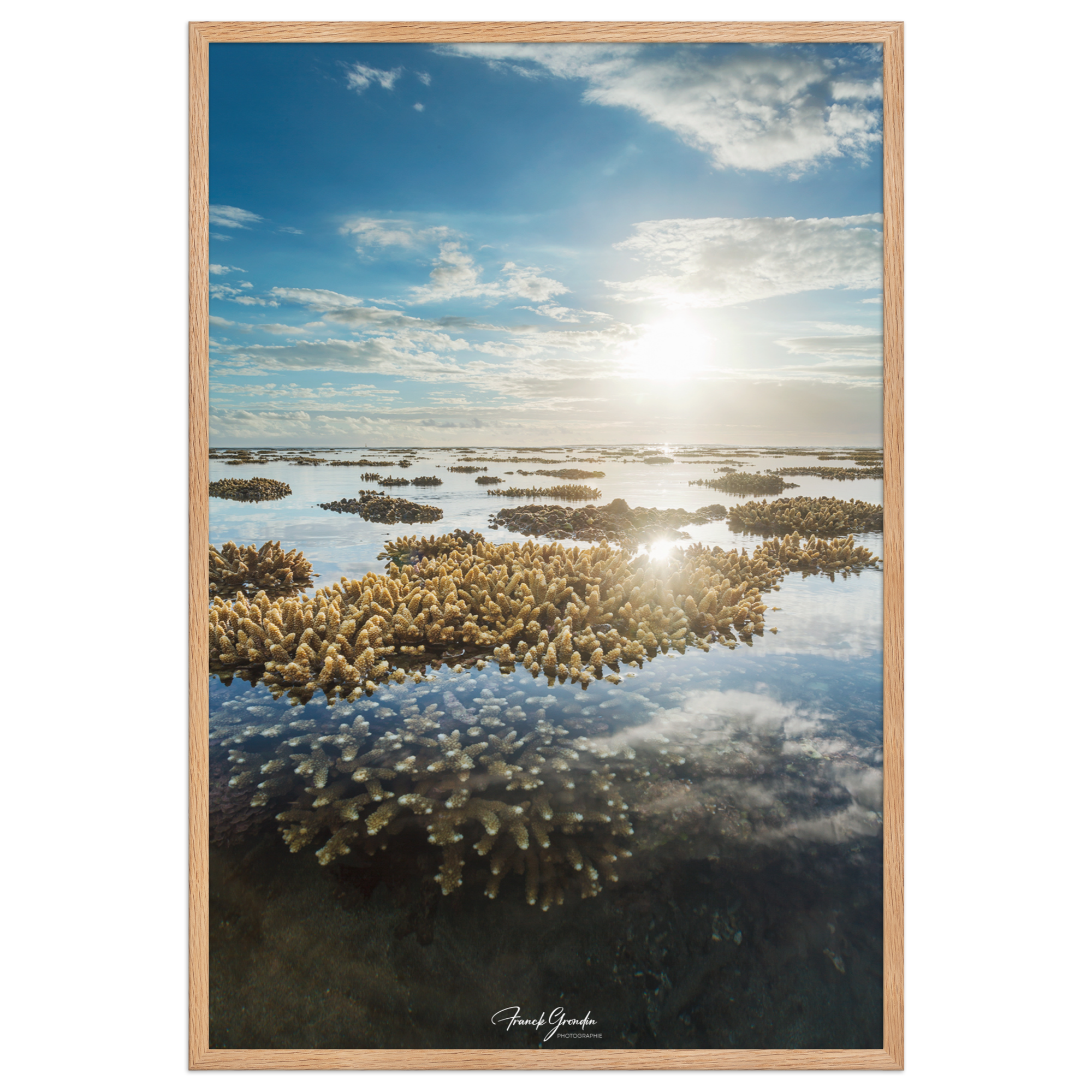 Affiche de La Réunion Le Récif 61 × 91 cm / Oak - Univile La Réunion