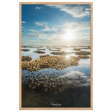 Affiche de La Réunion Le Récif 61 × 91 cm / Oak - Univile La Réunion