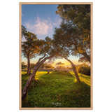 Affiche de La Réunion Kiosque Maïdo sunset 61 × 91 cm / Oak - Univile La Réunion