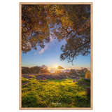 Affiche de La Réunion Sunset Kiosque Maïdo 61×91 cm / Oak - Univile La Réunion