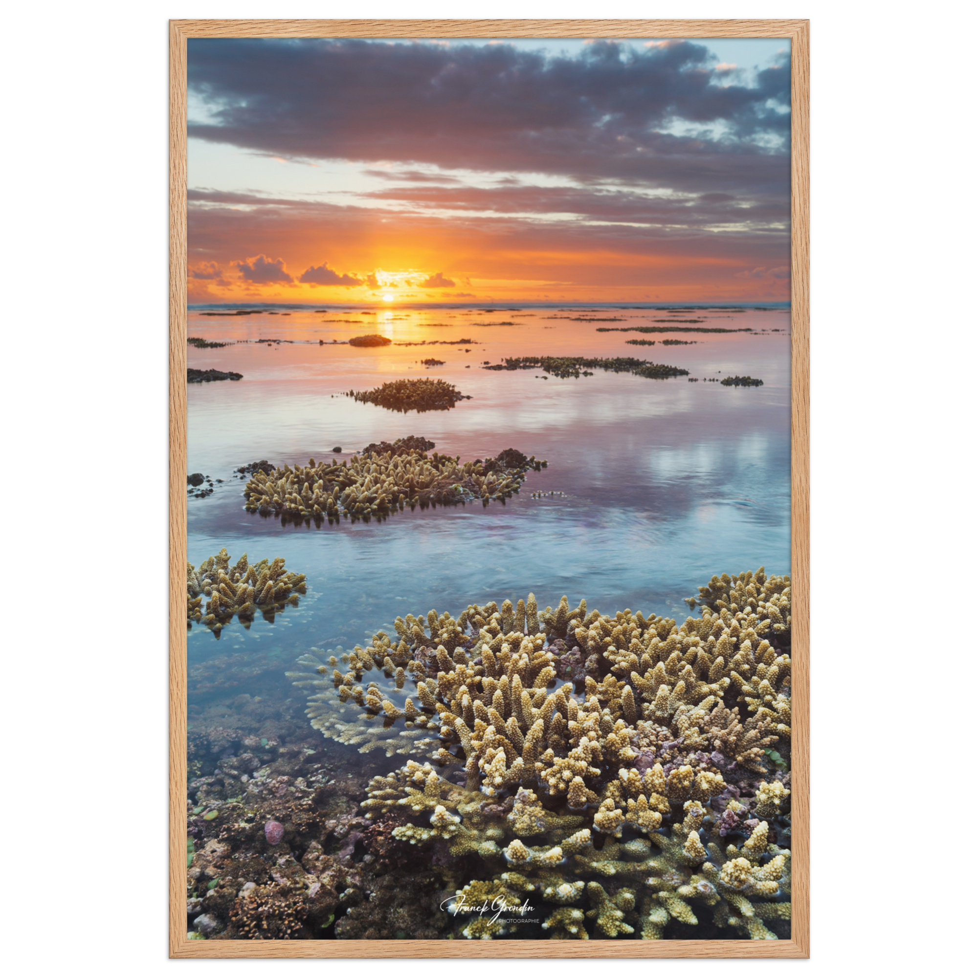 Affiche de La Réunion Sunset du récif 61 × 91 cm / Oak - Univile La Réunion