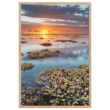 Affiche de La Réunion Sunset du récif 61 × 91 cm / Oak - Univile La Réunion