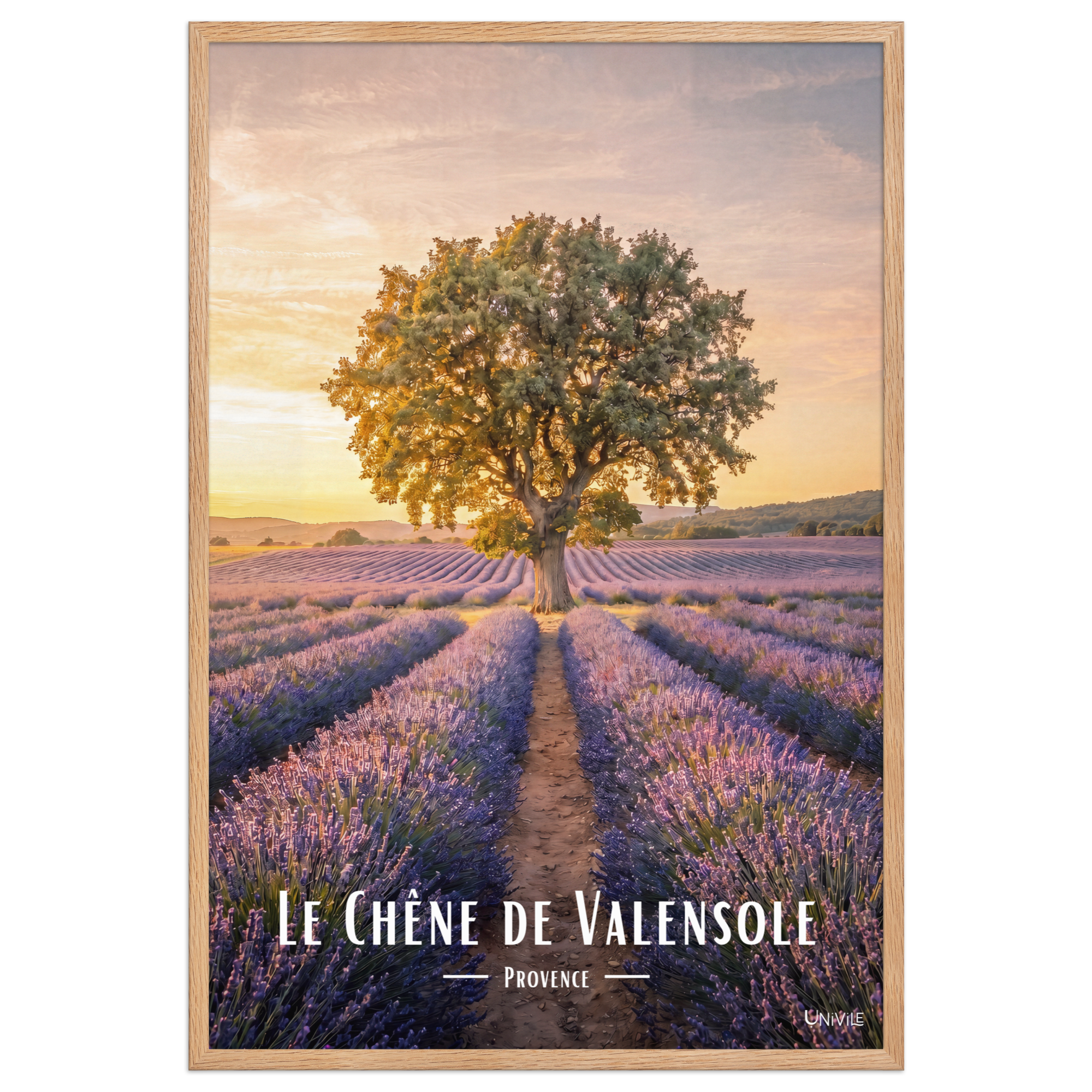 Affiche de Provence Le Chêne de Valensole 61 × 91 cm / Oak - Univile Provence
