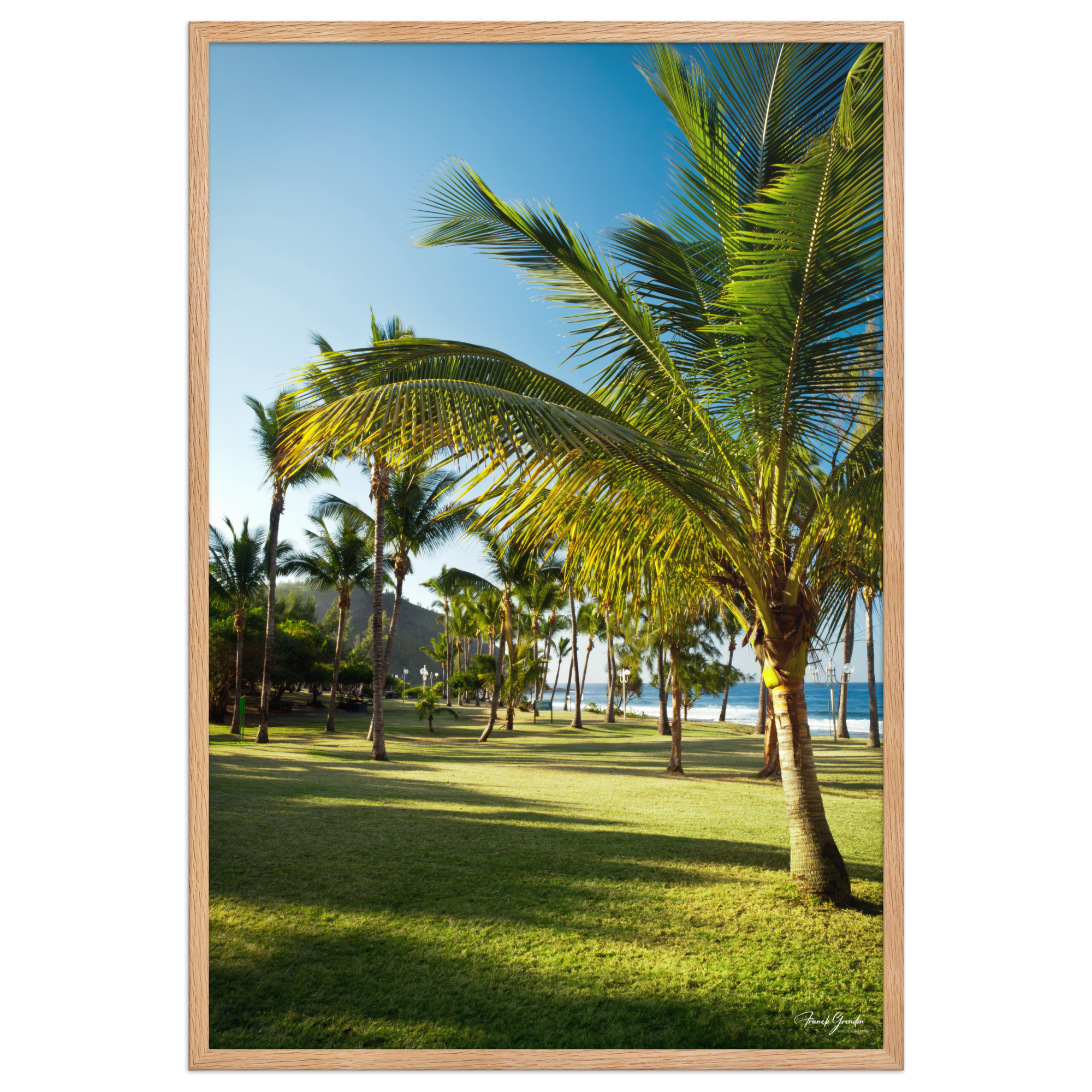 Affiche de La Réunion Palmier de Grande Anse 61 × 91 cm / Oak - photographie Franck Grondin