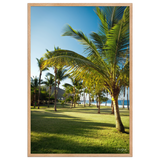 Affiche de La Réunion Palmier de Grande Anse 61 × 91 cm / Oak - photographie Franck Grondin