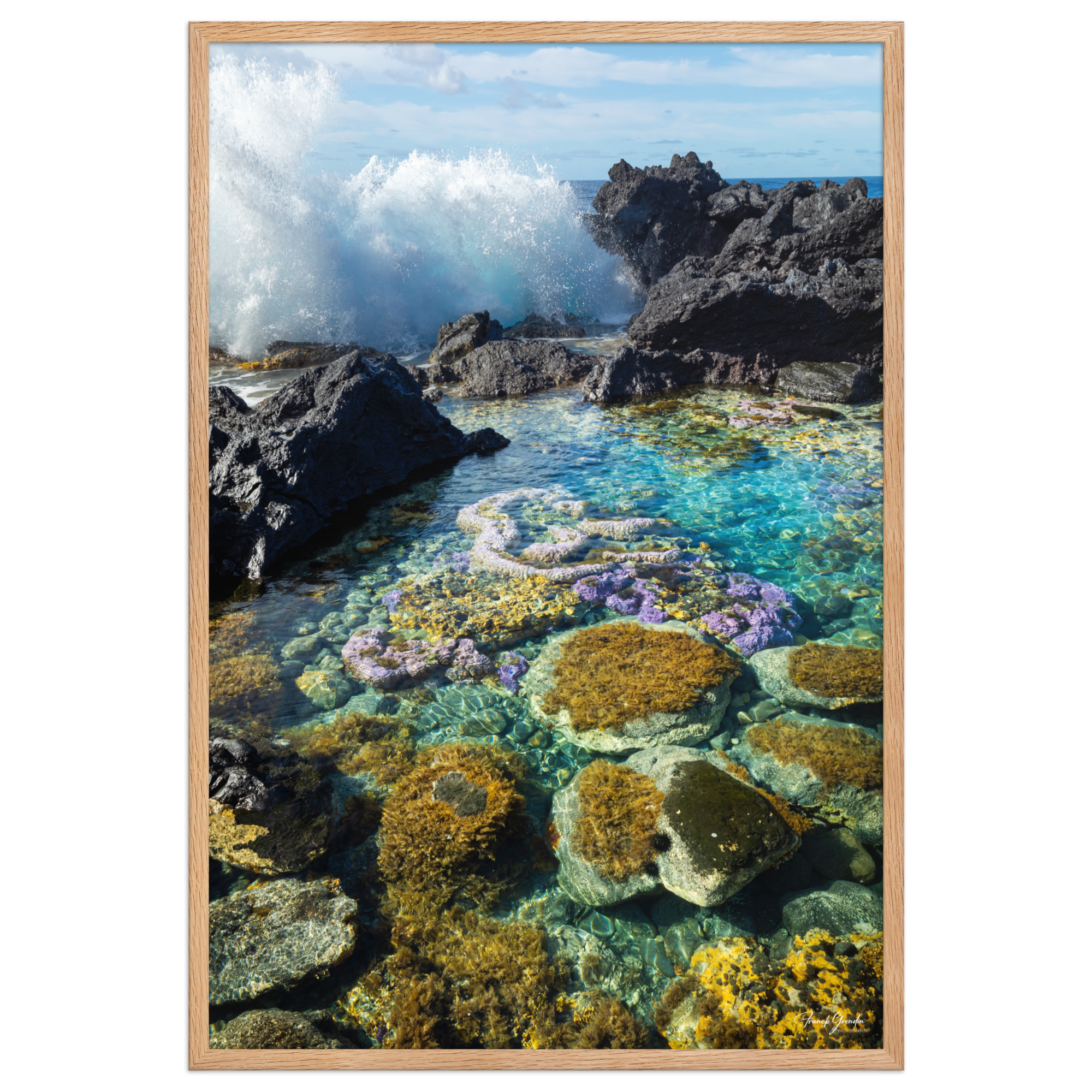 Affiche de La Réunion Coraux de Langevin 61 × 91 cm / Oak - photographie Franck Grondin