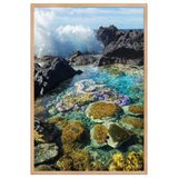 Affiche de La Réunion Coraux de Langevin 61 × 91 cm / Oak - photographie Franck Grondin