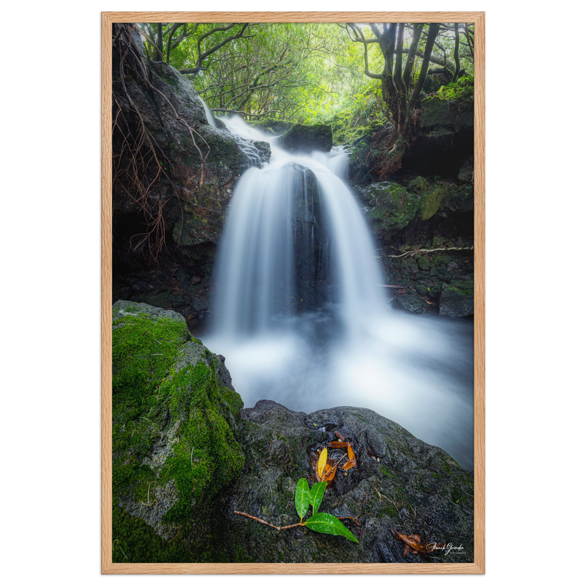 Affiche de La Réunion Cascade du Pont Rouge, Le Tremblet 61 × 91 cm / Oak - photographie Franck Grondin