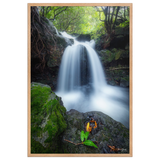 Affiche de La Réunion Cascade du Pont Rouge, Le Tremblet 61 × 91 cm / Oak - photographie Franck Grondin