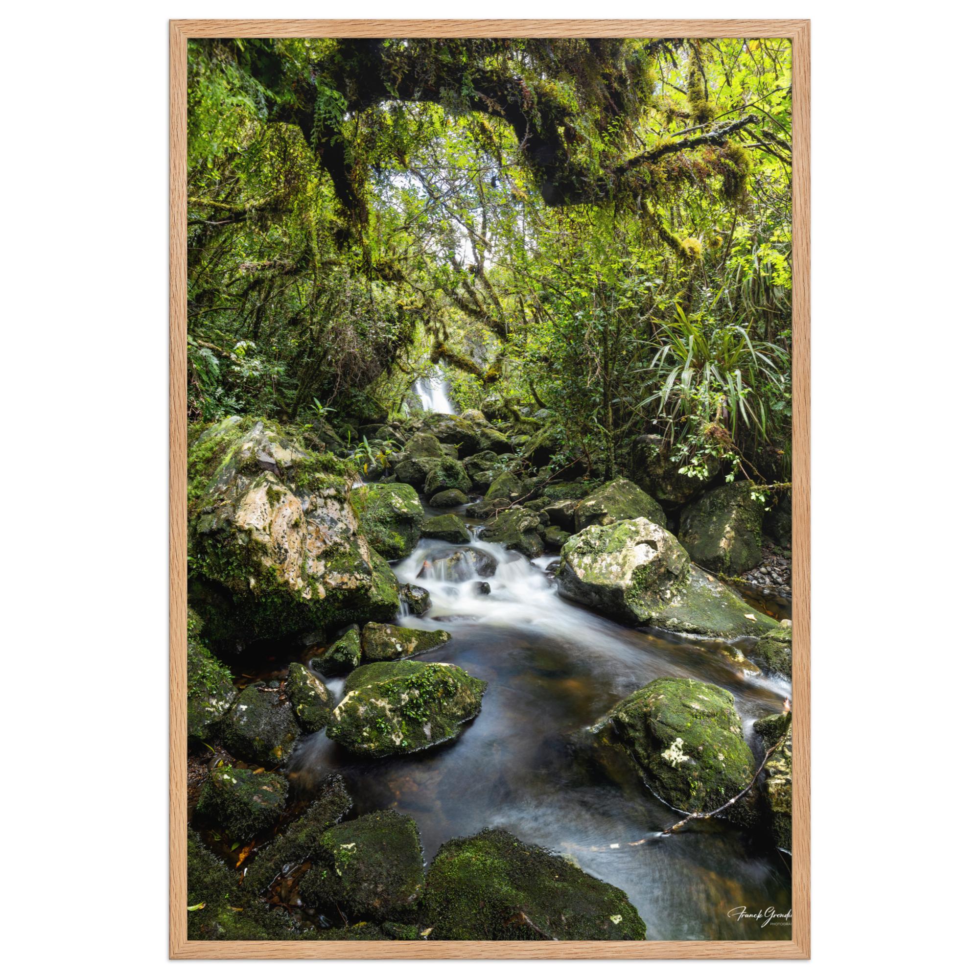 Affiche de La Réunion Forêt du Bras des Lianes 61 × 91 cm / Oak - photographie Franck Grondin