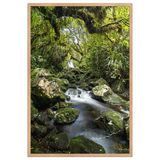 Affiche de La Réunion Forêt du Bras des Lianes 61 × 91 cm / Oak - photographie Franck Grondin