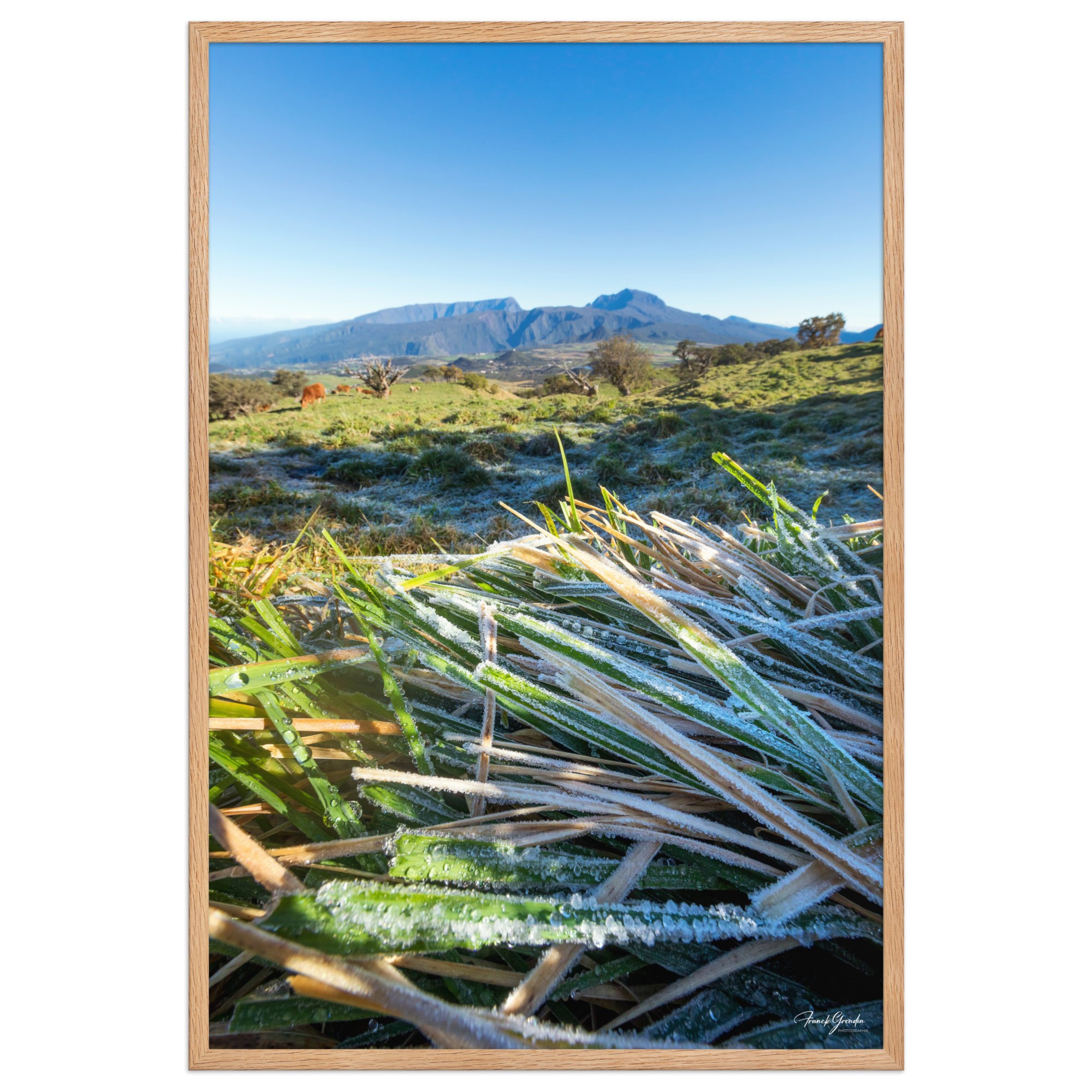 Affiche de La Réunion Givre sur les Hauts du Volcan 61 × 91 cm / Oak - photographie Franck Grondin