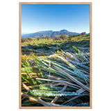 Affiche de La Réunion Givre sur les Hauts du Volcan 61 × 91 cm / Oak - photographie Franck Grondin