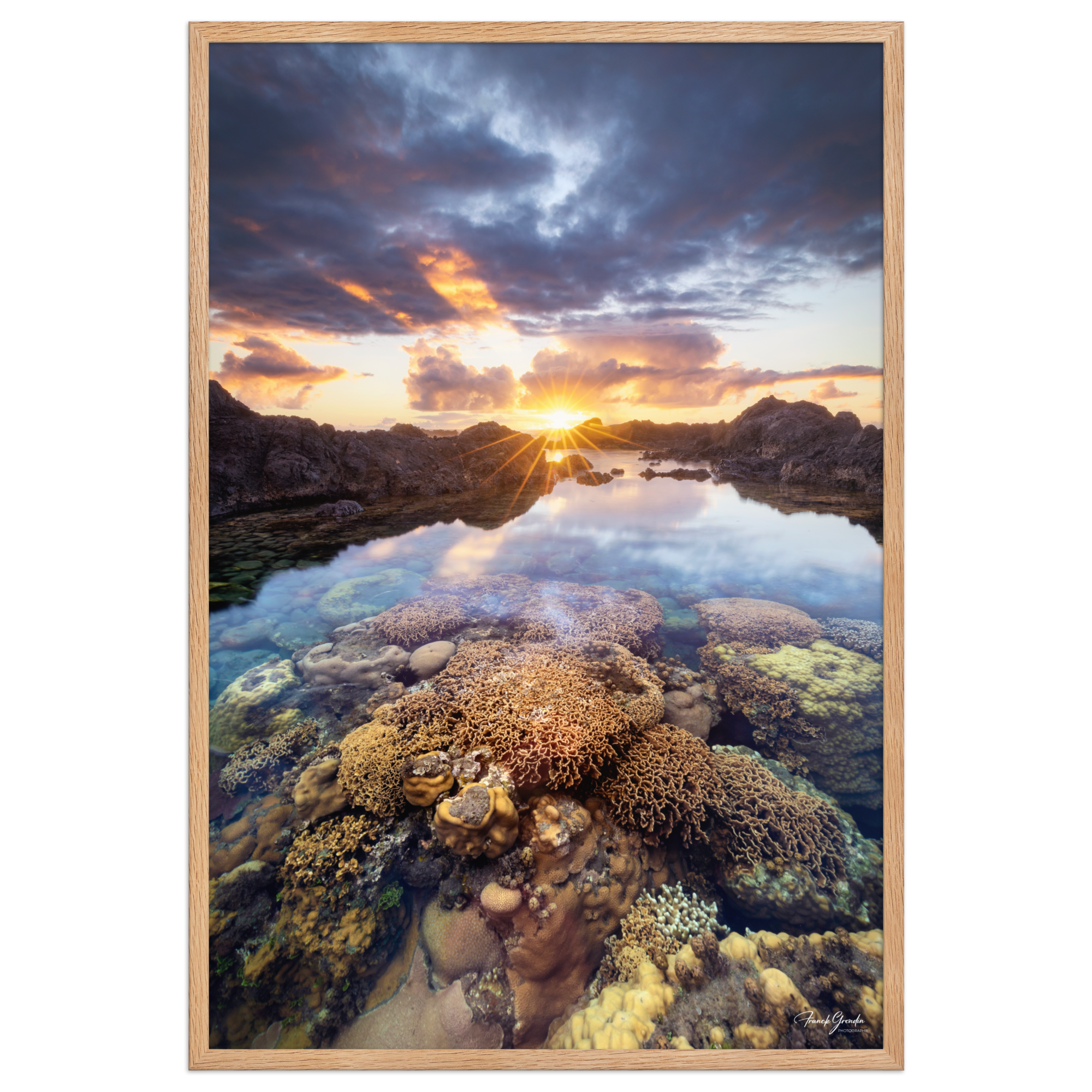 Affiche de La Réunion Coraux de la Souris Blanche 61 × 91 cm / Oak - photographie Franck Grondin