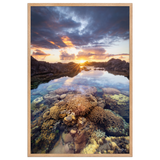 Affiche de La Réunion Coraux de la Souris Blanche 61 × 91 cm / Oak - photographie Franck Grondin
