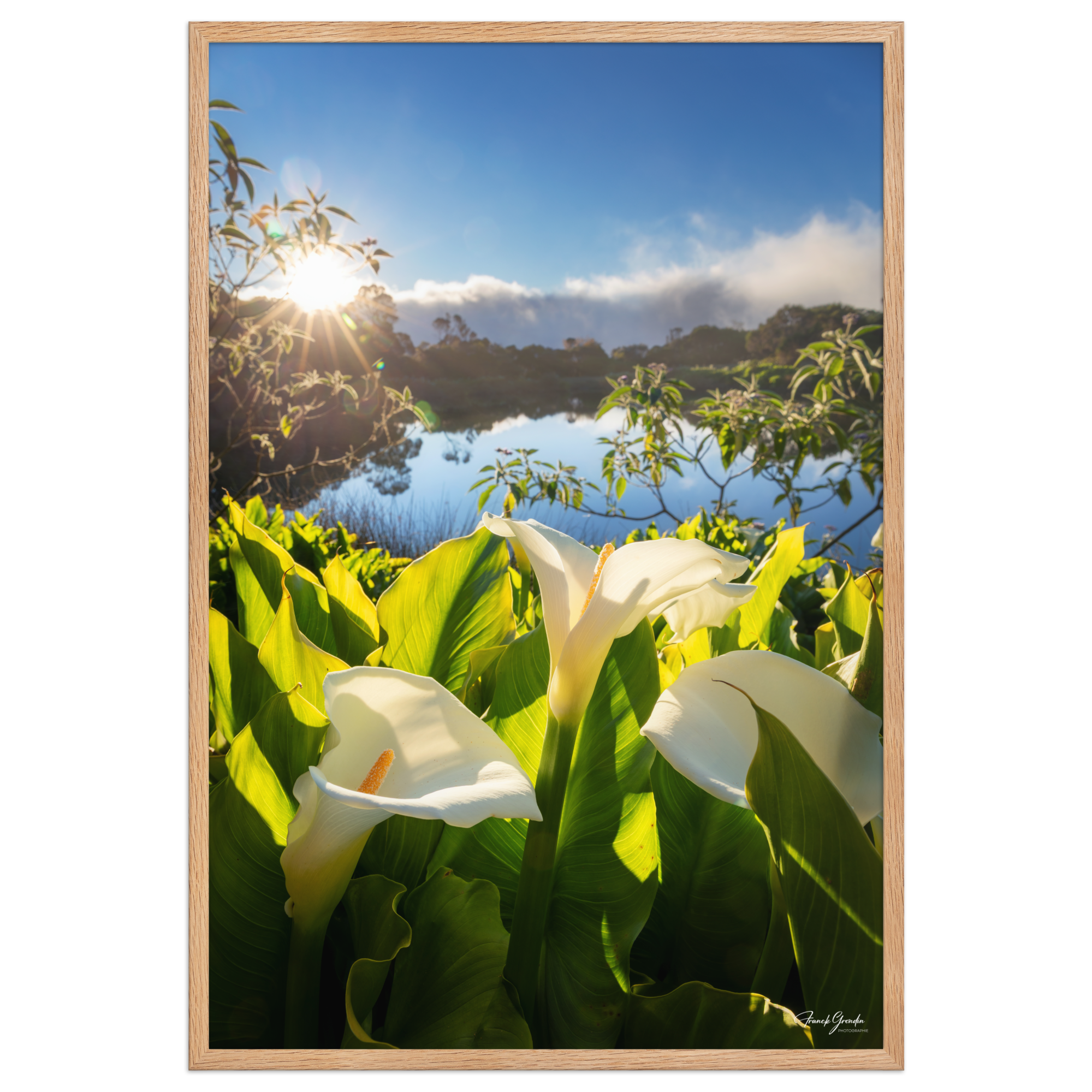 Affiche de La Réunion Arums du Piton de l'Eau au Crépuscule 61 × 91 cm / Oak - photographie Franck Grondin