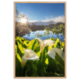 Affiche de La Réunion Arums du Piton de l'Eau au Crépuscule 61 × 91 cm / Oak - photographie Franck Grondin