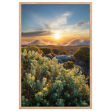Affiche de La Réunion Crépuscule sur le Pas des Sables 61 × 91 cm / Oak - photographie Franck Grondin