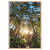 Affiche de La Réunion Forêt de Vacoas 61 × 91 cm / Oak - photographie Franck Grondin