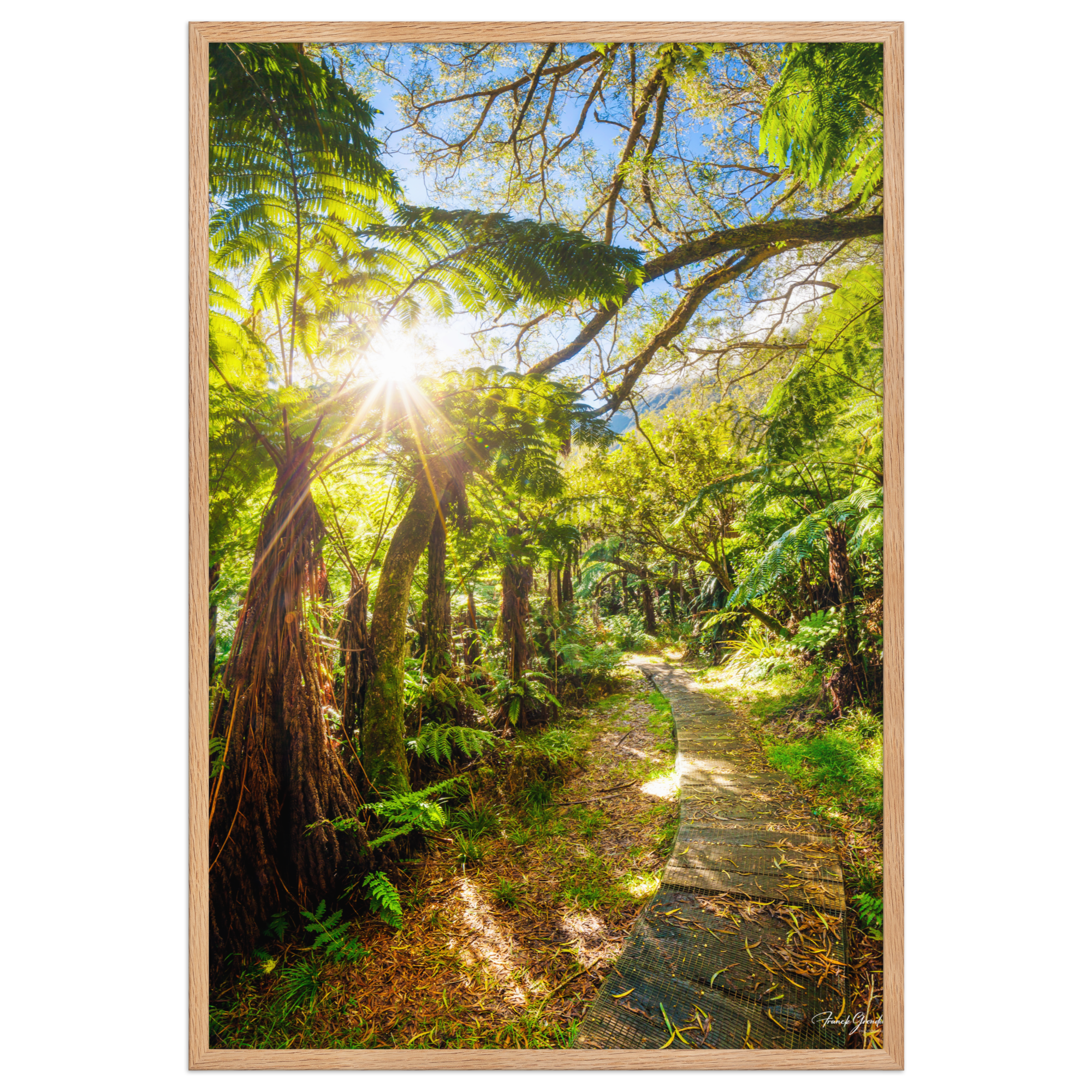 Affiche de La Réunion Le Chemin du Trou de Fer 61 × 91 cm / Oak - photographie Franck Grondin