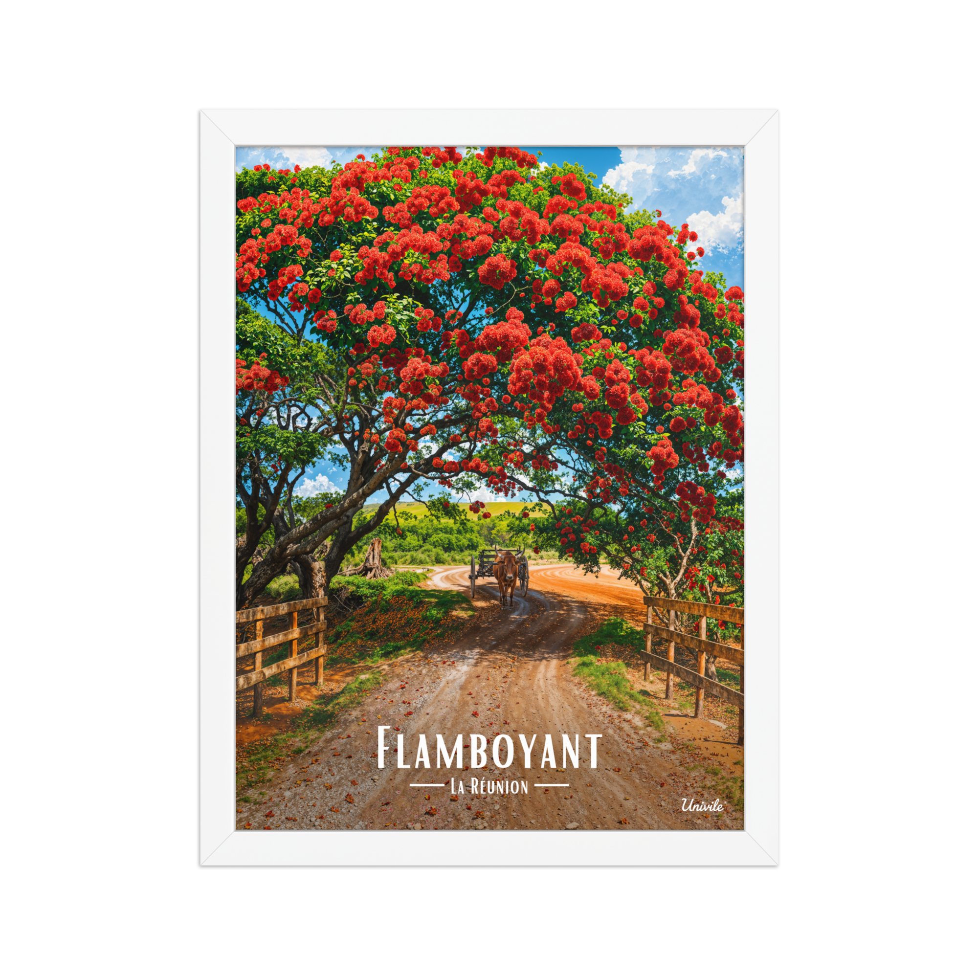 Affiche de la Réunion Flamboyant des champs 30 × 40 cm / Blanc - Univile