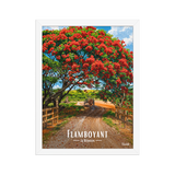 Affiche de la Réunion Flamboyant des champs 30 × 40 cm / Blanc - Univile