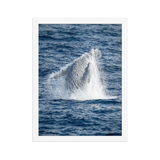 Affiche de La Réunion Baleine 30 × 40 cm / Blanc - Univile La Réunion
