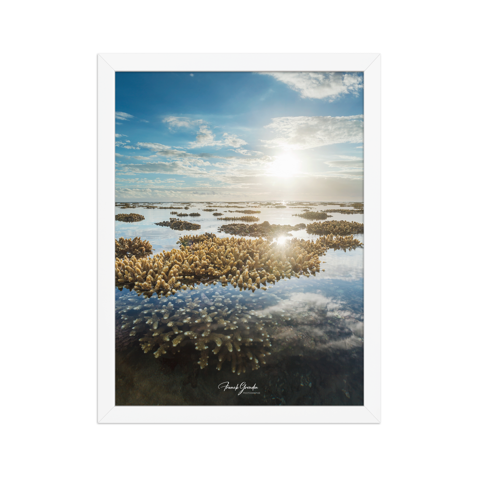Affiche de La Réunion Le Récif 30 × 40 cm / Blanc - Univile La Réunion