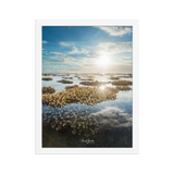 Affiche de La Réunion Le Récif 30 × 40 cm / Blanc - Univile La Réunion